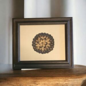 Framed Bird Feather Art